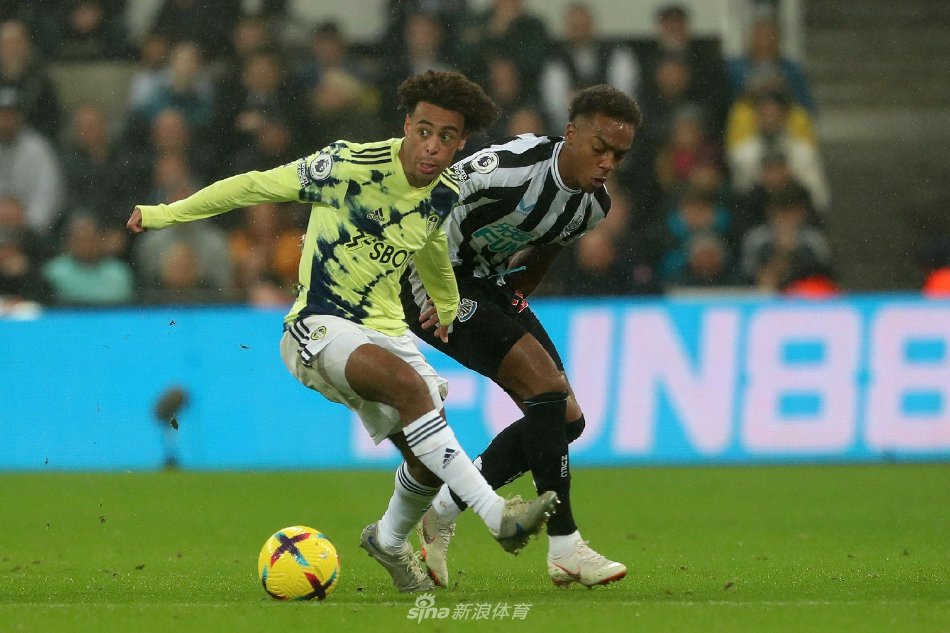 一种冒险 一种冒险